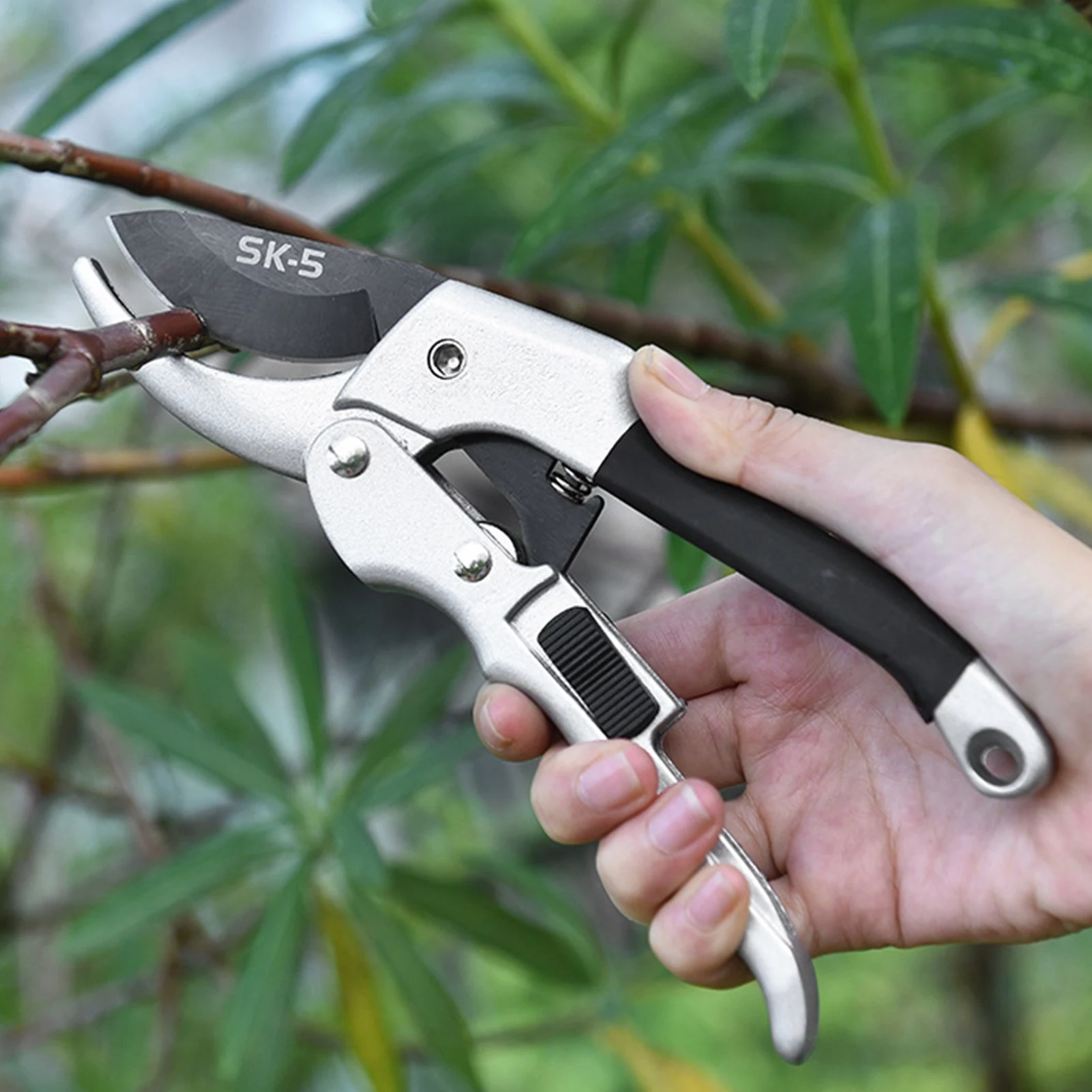 Expert Tree Trimming Services In Vancouver, WA Expert Tree Trimming Services In Vancouver, WA